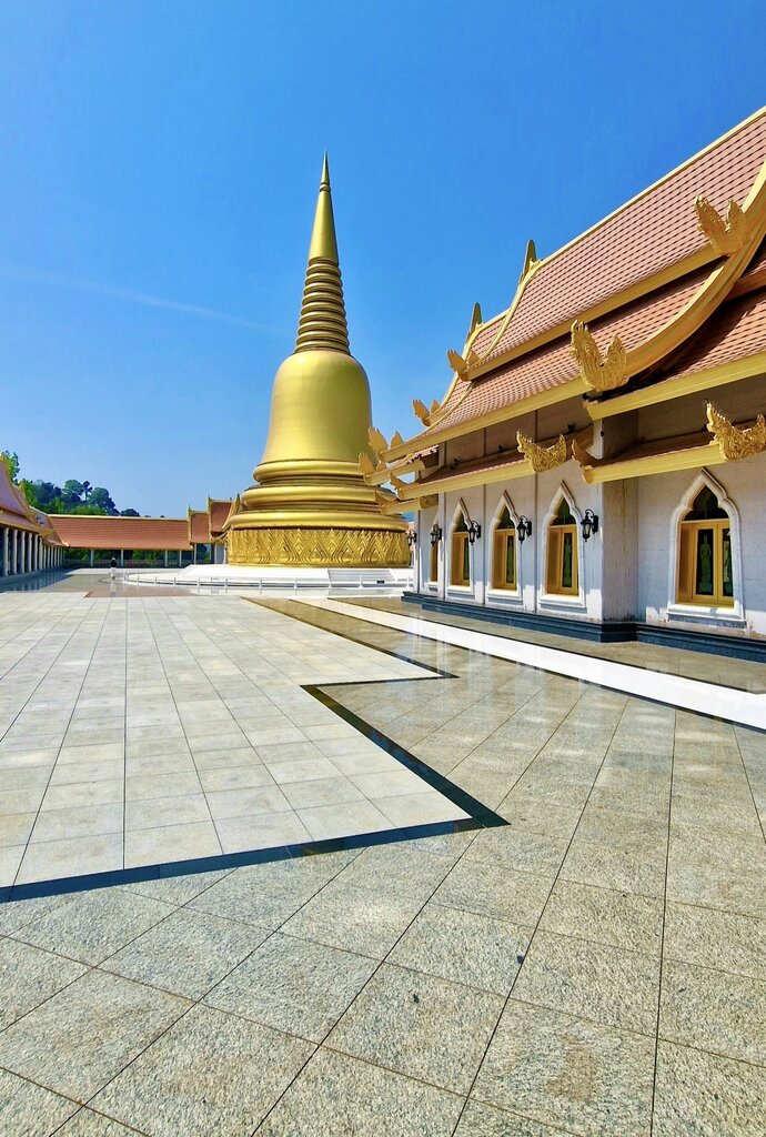 IMG_6920.jpeg